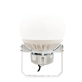 Globe Lamp